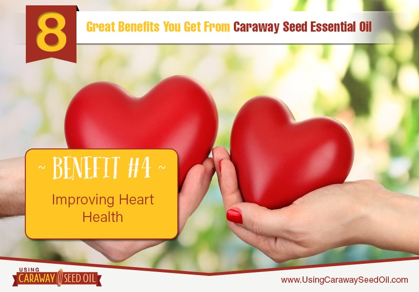  benefits of caraway  essential oil